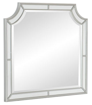 Homelegance Avondale Mirror in Silver 1646-6 image