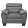 Denizen Chair in Dark Gray 9537DGY-1